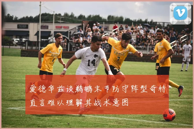 爱德华兹谈鹈鹕末节防守阵型奇特直言难以理解其战术意图