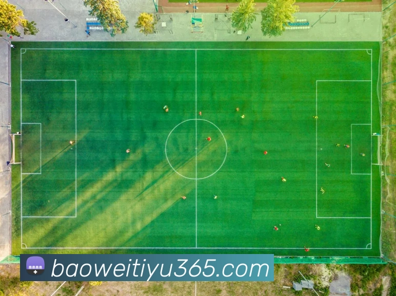 多媒体互动体验